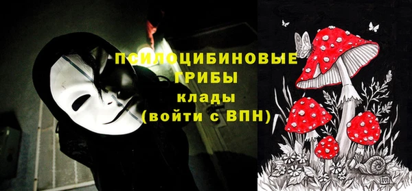не бодяженный Аркадак